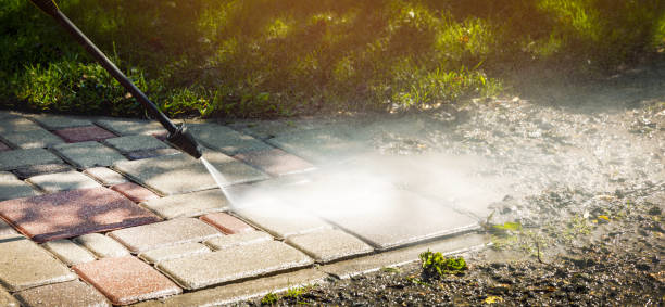 Best Building Exterior Washing  in Sardis City, AL